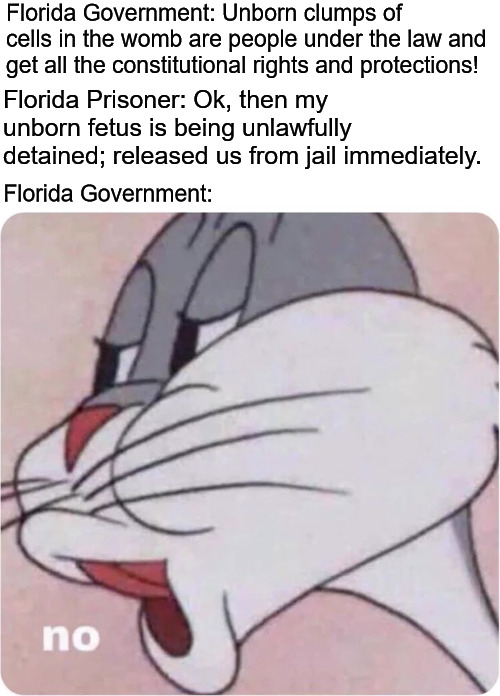 And so it begins | Florida Government: Unborn clumps of cells in the womb are people under the law and get all the constitutional rights and protections! Florida Prisoner: Ok, then my unborn fetus is being unlawfully detained; released us from jail immediately. Florida Government: | image tagged in bugs bunny no,fetus,roe vs wade,bodily autonomy,unborn child,current events | made w/ Imgflip meme maker