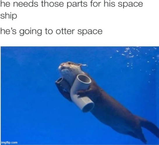 Dream big, small otter | image tagged in memes,funny,wholesome | made w/ Imgflip meme maker