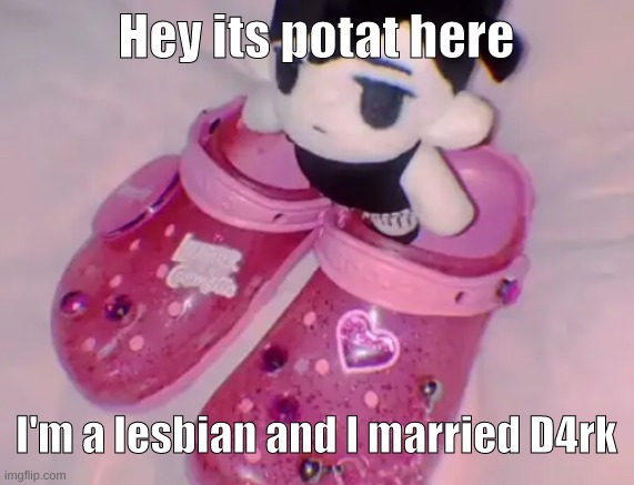 stairs | Hey its potat here; I'm a lesbian and I married D4rk | image tagged in stairs | made w/ Imgflip meme maker