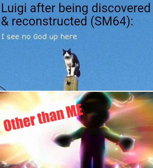 Old joke and I'm not giving you the context | Luigi after being discovered & reconstructed (SM64):; Other than ME | image tagged in hail pole cat,funny,memes,luigi,super mario 64,what have i done | made w/ Imgflip meme maker