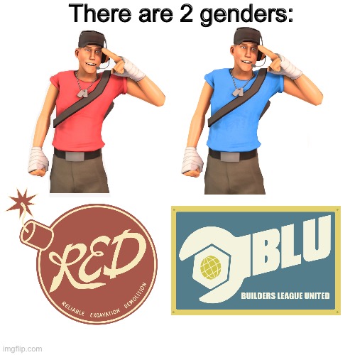 There are 2 genders: | made w/ Imgflip meme maker