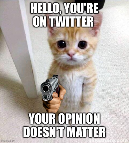 I’m not cute on Twitter | HELLO, YOU’RE ON TWITTER; YOUR OPINION DOESN’T MATTER | image tagged in memes,cute cat | made w/ Imgflip meme maker