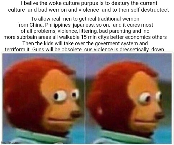 It's just a thought that stems from passport bros and not just bike youtube channel and WEF | I belive the woke culture purpus is to destury the current culture  and bad wemon and violence  and to then self destructect; To allow real men to get real traditional wemon from China, Philippines, japaness, so on.  and it cures most of all problems, violence, littering, bad parenting and  no more subrbain areas all walkable 15 min citys better economics others
Then the kids will take over the goverment system and terriform it. Guns will be obsolete  cus violence is dressetically  down | image tagged in memes,monkey puppet,politics,ideas,shower thoughts | made w/ Imgflip meme maker