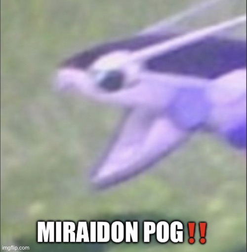 Miraidon pog | image tagged in miraidon pog | made w/ Imgflip meme maker