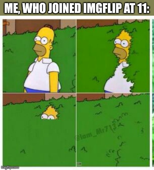 Homer hides | ME, WHO JOINED IMGFLIP AT 11: | image tagged in homer hides | made w/ Imgflip meme maker