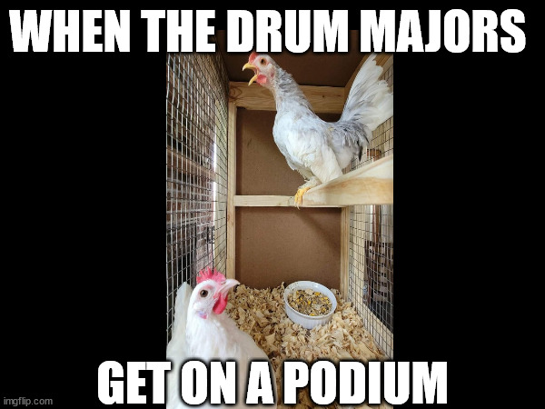 Drum Majors | WHEN THE DRUM MAJORS; GET ON A PODIUM | image tagged in marching band | made w/ Imgflip meme maker