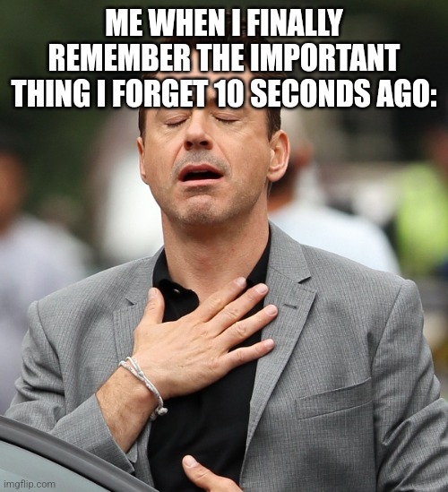 relieved rdj | ME WHEN I FINALLY REMEMBER THE IMPORTANT THING I FORGET 10 SECONDS AGO: | image tagged in relieved rdj | made w/ Imgflip meme maker