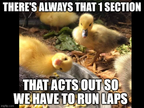 Section | THERE'S ALWAYS THAT 1 SECTION; THAT ACTS OUT SO WE HAVE TO RUN LAPS | image tagged in marching band | made w/ Imgflip meme maker
