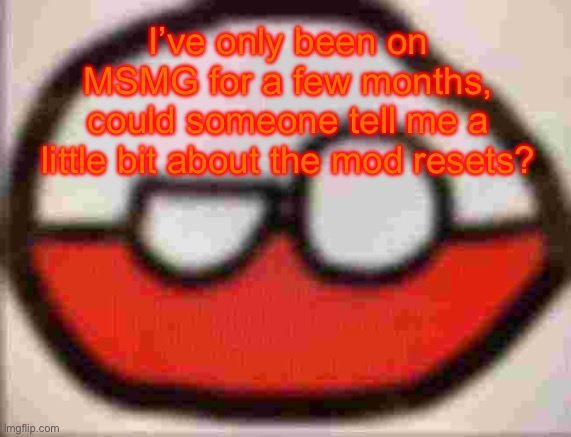 puolen | I’ve only been on MSMG for a few months, could someone tell me a little bit about the mod resets? | image tagged in puolen | made w/ Imgflip meme maker