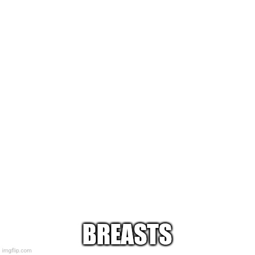Noice | BREASTS | image tagged in noice | made w/ Imgflip meme maker