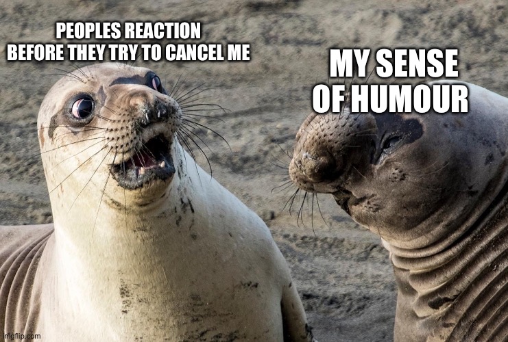 Shocked Seal | PEOPLES REACTION BEFORE THEY TRY TO CANCEL ME; MY SENSE OF HUMOUR | image tagged in shocked face,seal,humor | made w/ Imgflip meme maker