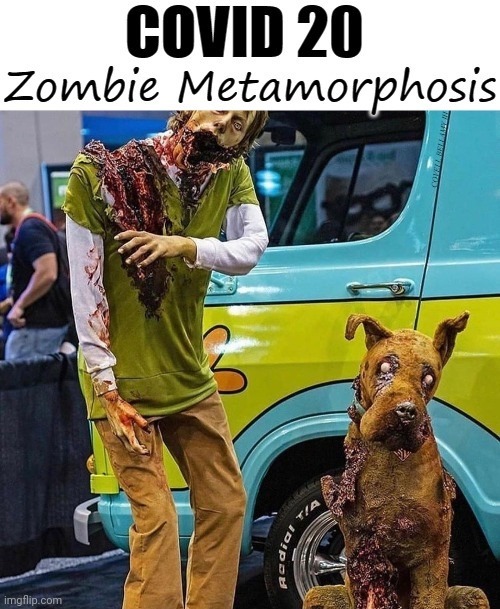 COVID 20 Zombie Metamorphosis | image tagged in covid 20 zombie metamorphosis | made w/ Imgflip meme maker