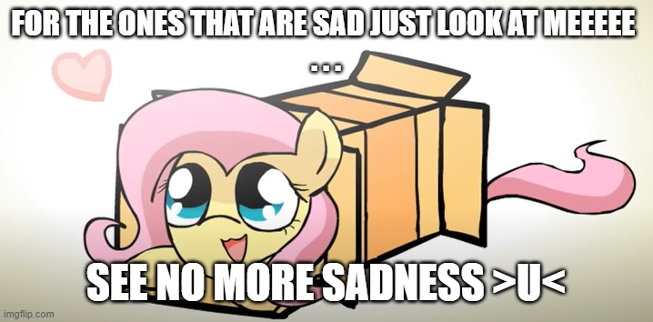 stop and be happy | FOR THE ONES THAT ARE SAD JUST LOOK AT MEEEEE 
. . . SEE NO MORE SADNESS >U< | image tagged in fluttershy | made w/ Imgflip meme maker