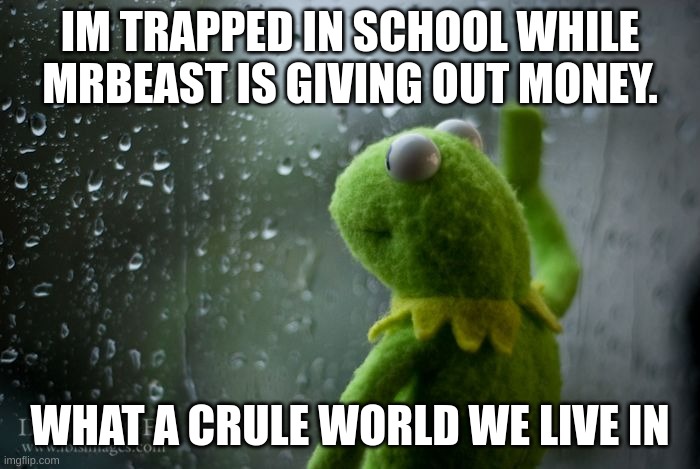 MRbEasT!!!!!!!!!!! | IM TRAPPED IN SCHOOL WHILE MRBEAST IS GIVING OUT MONEY. WHAT A CRUEL WORLD WE LIVE IN | image tagged in kermit window | made w/ Imgflip meme maker