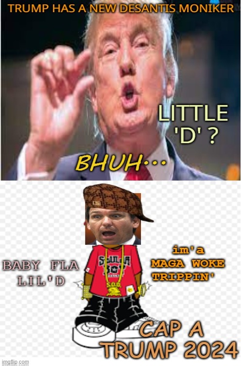 Little D is in the hood | image tagged in maga,florida man,asleep,funny,politics | made w/ Imgflip meme maker