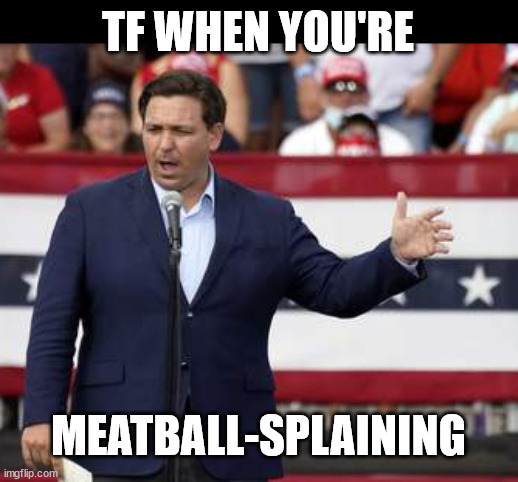 Governor Ron DeSantis - Nazi Misogynist | TF WHEN YOU'RE; MEATBALL-SPLAINING | image tagged in governor ron desantis - nazi misogynist | made w/ Imgflip meme maker