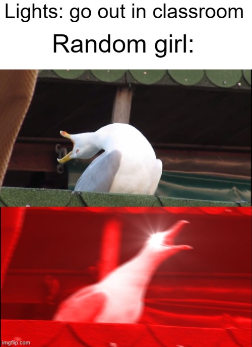 I'll admit, I'm that girl sometimes. | Random girl:; Lights: go out in classroom | image tagged in screaming bird | made w/ Imgflip meme maker