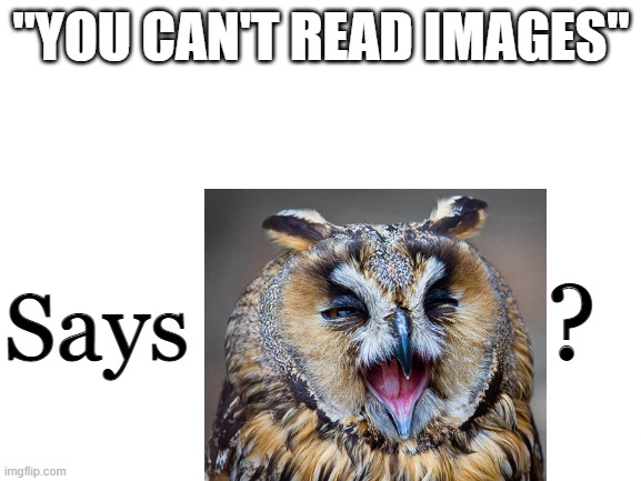 You can't read images | "YOU CAN'T READ IMAGES"; Says; ? | image tagged in who | made w/ Imgflip meme maker