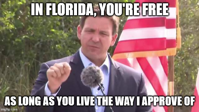 Meatball-splaining | IN FLORIDA, YOU'RE FREE; AS LONG AS YOU LIVE THE WAY I APPROVE OF | image tagged in florida governor ron desantis | made w/ Imgflip meme maker