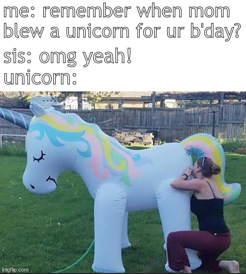 oh yeah | me: remember when mom blew a unicorn for ur b'day? sis: omg yeah!
unicorn: | image tagged in memes,dark humor | made w/ Imgflip meme maker