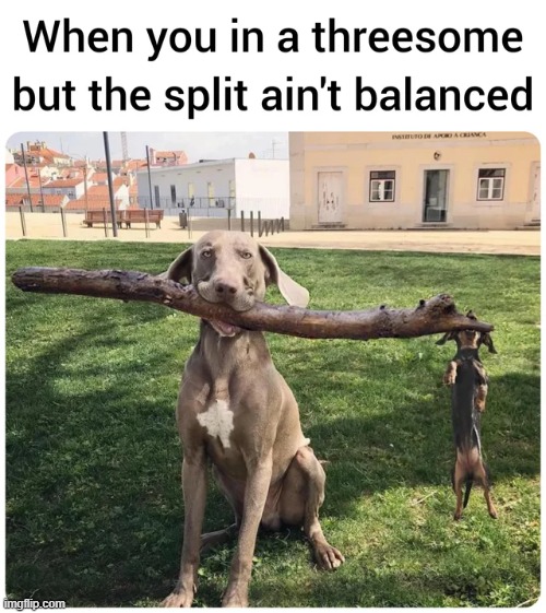 It's not the size of the dog in the fight; it's the size of the fight in the dog | image tagged in memes,funny | made w/ Imgflip meme maker