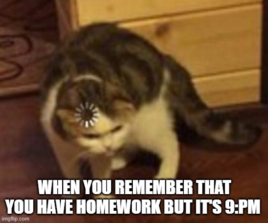 Oh no | WHEN YOU REMEMBER THAT YOU HAVE HOMEWORK BUT IT'S 9:PM | image tagged in loading cat | made w/ Imgflip meme maker