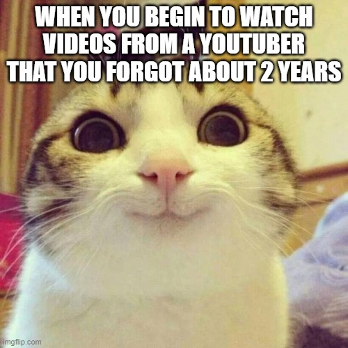 Youtuber | WHEN YOU BEGIN TO WATCH VIDEOS FROM A YOUTUBER THAT YOU FORGOT ABOUT 2 YEARS | image tagged in memes,smiling cat | made w/ Imgflip meme maker