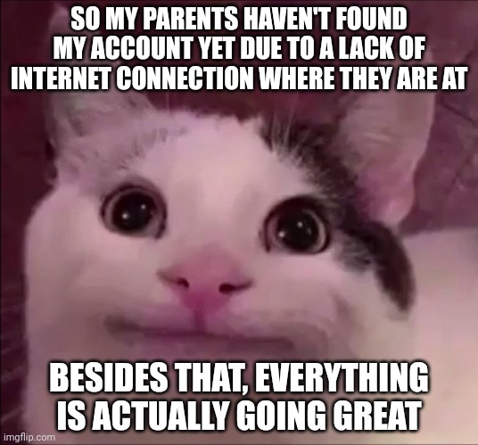 Welp =/ | SO MY PARENTS HAVEN'T FOUND MY ACCOUNT YET DUE TO A LACK OF INTERNET CONNECTION WHERE THEY ARE AT; BESIDES THAT, EVERYTHING IS ACTUALLY GOING GREAT | image tagged in awkward smile cat | made w/ Imgflip meme maker