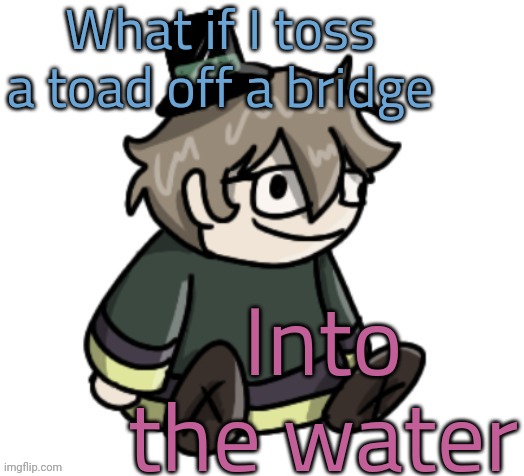 cracker | What if I toss a toad off a bridge; Into the water | image tagged in cracker | made w/ Imgflip meme maker