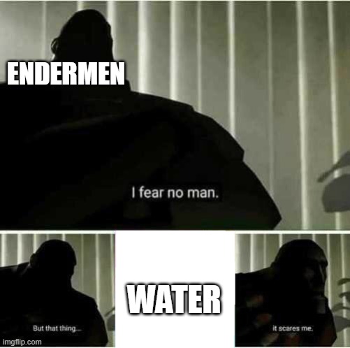 I fear no man | ENDERMEN; WATER | image tagged in i fear no man | made w/ Imgflip meme maker