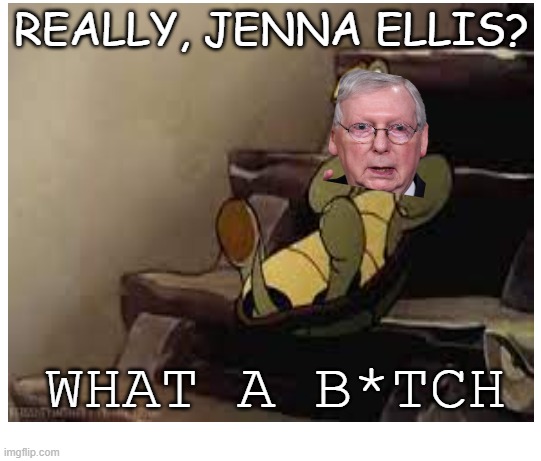 Jenna Ellis fail | REALLY, JENNA ELLIS? WHAT A B*TCH | image tagged in maga,republicans,turtle,fall,politics | made w/ Imgflip meme maker