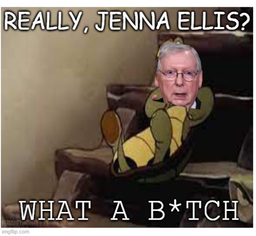 Jenna Ellis fail | image tagged in maga,mitch mcconnell,turtle,fall,politics | made w/ Imgflip meme maker