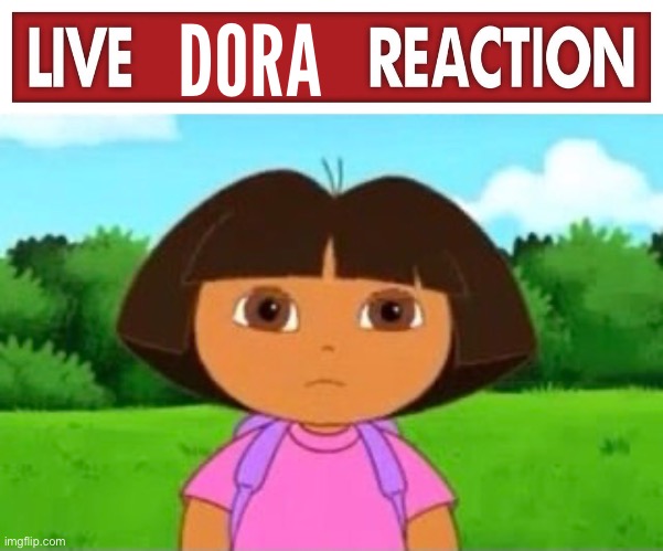 DORA | made w/ Imgflip meme maker