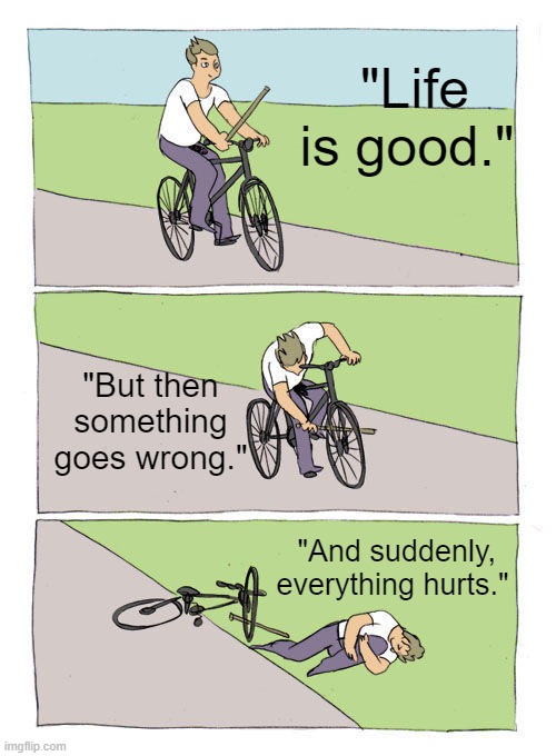 Truth of life | "Life is good."; "But then something goes wrong."; "And suddenly, everything hurts." | image tagged in memes,bike fall | made w/ Imgflip meme maker