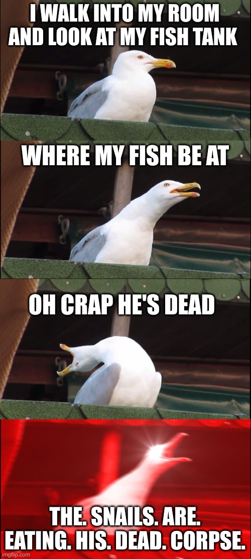 True story...this happened today. Send help- :( | I WALK INTO MY ROOM AND LOOK AT MY FISH TANK; WHERE MY FISH BE AT; OH CRAP HE'S DEAD; THE. SNAILS. ARE. EATING. HIS. DEAD. CORPSE. | image tagged in memes,inhaling seagull,jeffrey dahmer,fish,snail,blueberry | made w/ Imgflip meme maker