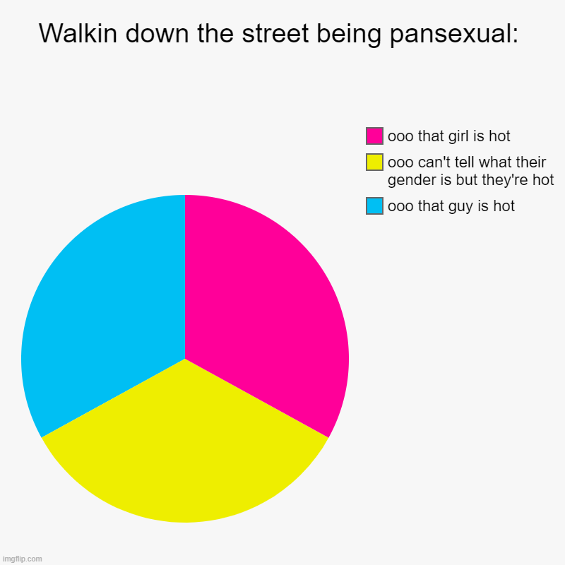 Being pansexual | Walkin down the street being pansexual: | ooo that guy is hot, ooo can't tell what their gender is but they're hot, ooo that girl is hot | image tagged in charts,pie charts | made w/ Imgflip chart maker