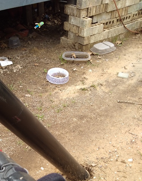 I hid his body (real) | made w/ Imgflip meme maker