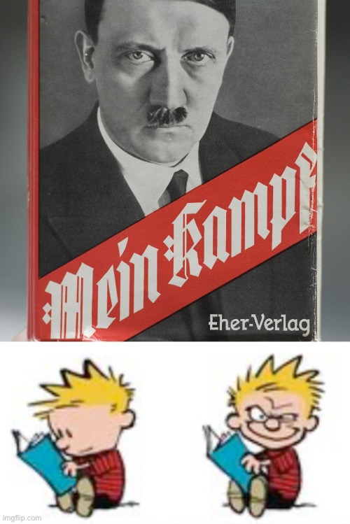 image tagged in mein kampf | made w/ Imgflip meme maker