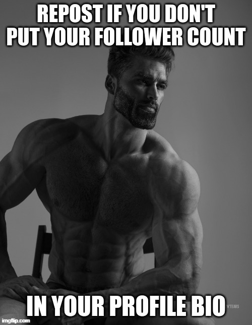 stole for silly | made w/ Imgflip meme maker