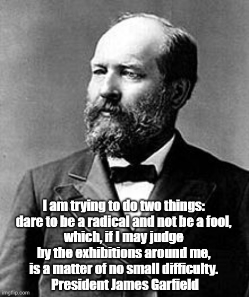 President James Garfield: "I Am Trying To Do Two Things" | I am trying to do two things: 
dare to be a radical and not be a fool, 
which, if I may judge 
by the exhibitions around me, 
is a matter of no small difficulty. 
President James Garfield | image tagged in president,president james garfield,assassinated presidents,radical,radicalism | made w/ Imgflip meme maker