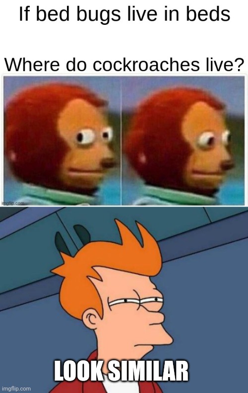 LOOK SIMILAR | image tagged in memes,futurama fry | made w/ Imgflip meme maker