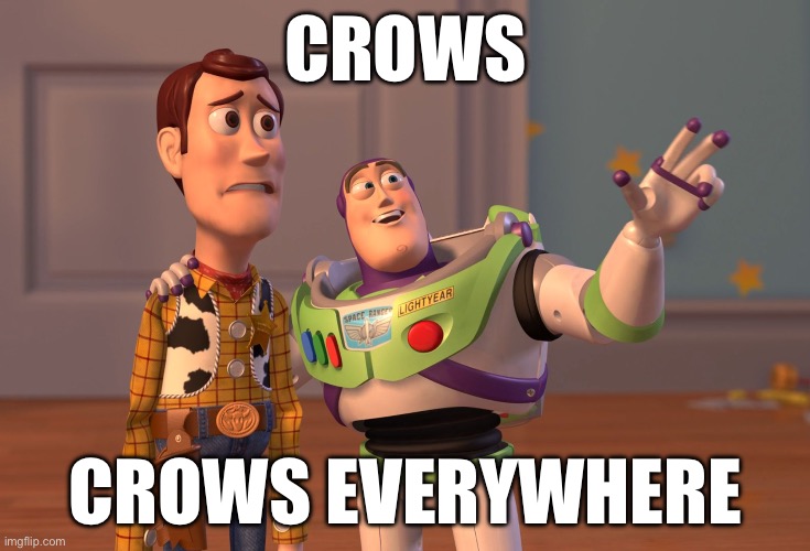 I got bored | CROWS; CROWS EVERYWHERE | image tagged in memes,x x everywhere,birds,crow | made w/ Imgflip meme maker