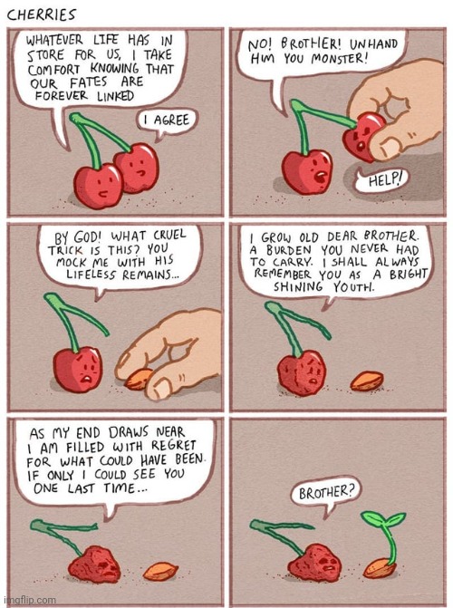 Cherry | image tagged in cherries,cherry,comics,comics/cartoons,seed,seeds | made w/ Imgflip meme maker