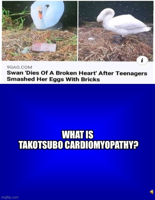 Takotsubo Cardiomyopathy | WHAT IS 
TAKOTSUBO CARDIOMYOPATHY? | image tagged in jeopardy question,cardiomyopathy,broken heart | made w/ Imgflip meme maker