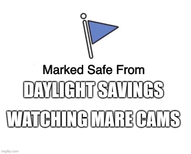 marked safe | DAYLIGHT SAVINGS; WATCHING MARE CAMS | image tagged in marked safe from | made w/ Imgflip meme maker