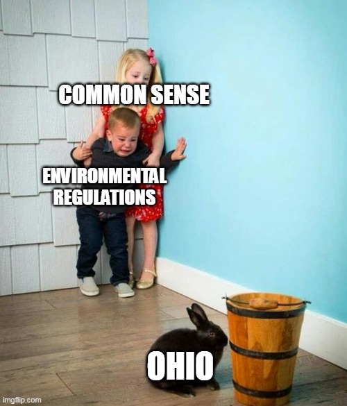 common sense and environmental regulations vs ohio | COMMON SENSE; ENVIRONMENTAL REGULATIONS; OHIO | image tagged in children scared of rabbit,politics,ohio,common sense,environmental regulations,train derailment | made w/ Imgflip meme maker