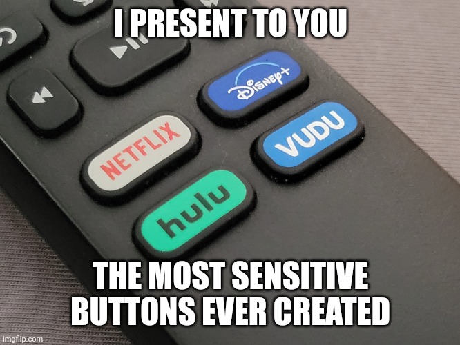 Roku Buttons | I PRESENT TO YOU; THE MOST SENSITIVE BUTTONS EVER CREATED | image tagged in truth,true story bro | made w/ Imgflip meme maker