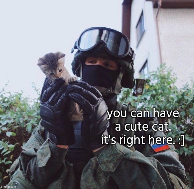 . | you can have a cute cat. it's right here. :] | made w/ Imgflip meme maker