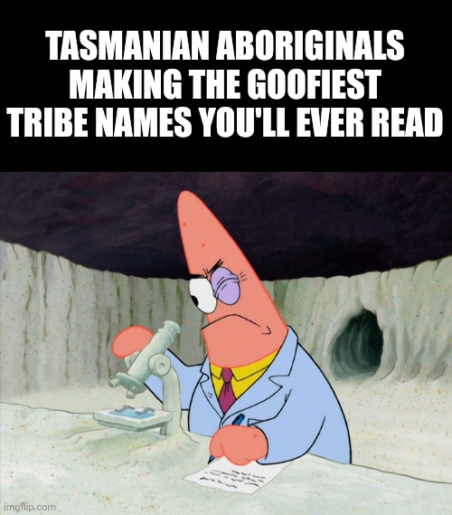 What is Loontitetermairrelehoinner | TASMANIAN ABORIGINALS MAKING THE GOOFIEST TRIBE NAMES YOU'LL EVER READ | image tagged in patrick smart scientist,tasmania,australia,oceania,tasmanian aboriginals,australian aboriginals | made w/ Imgflip meme maker