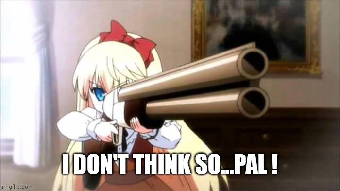 Anime Shotgun | I DON'T THINK SO...PAL ! | image tagged in anime shotgun | made w/ Imgflip meme maker